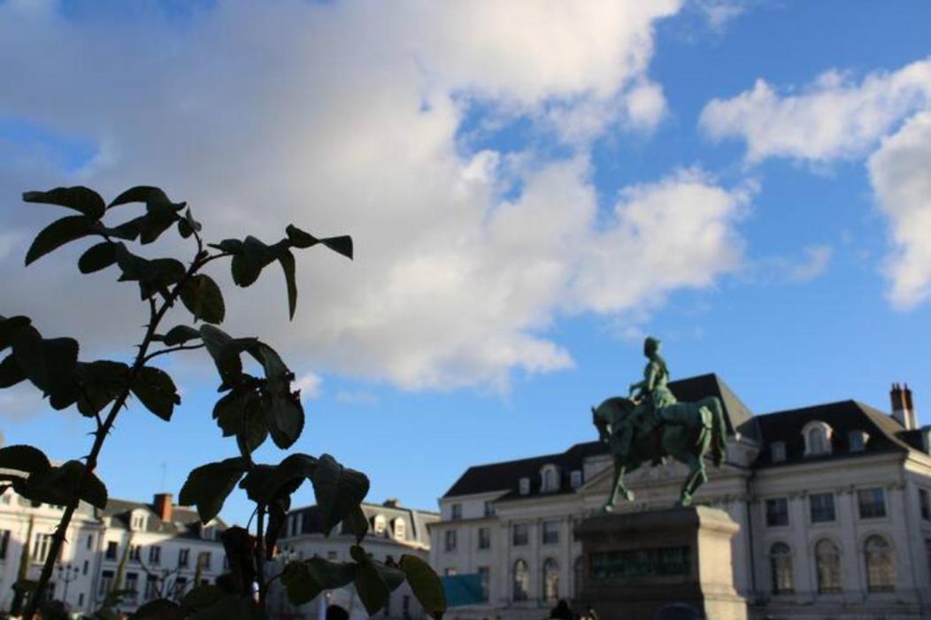 Le Scandinave, Proche Bord De Loire Orléans Esterno foto