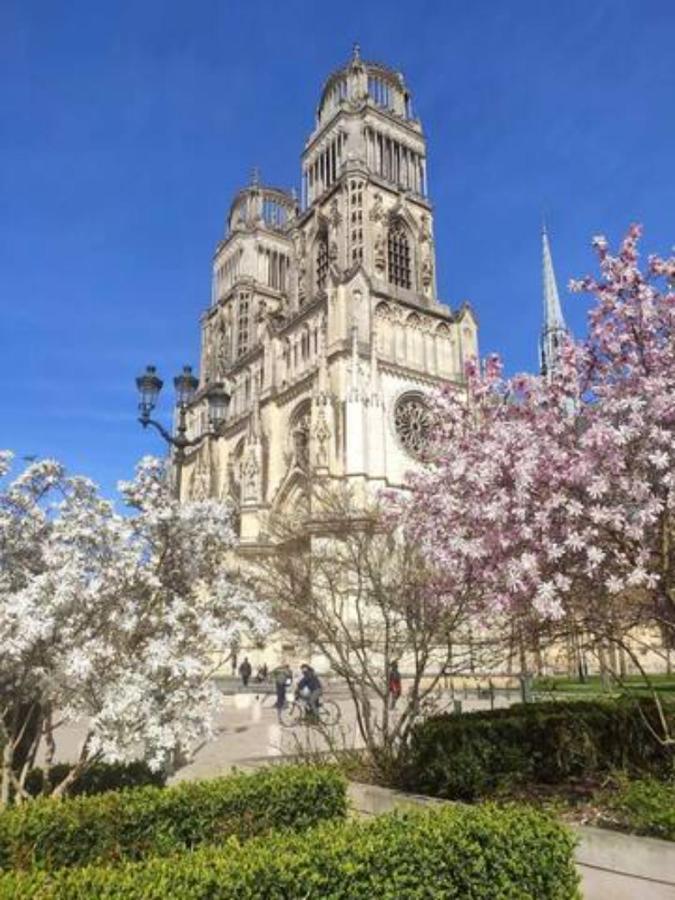 Le Scandinave, Proche Bord De Loire Orléans Esterno foto